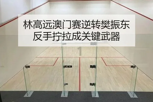 林高远澳门赛逆转樊振东 反手拧拉成关键武器