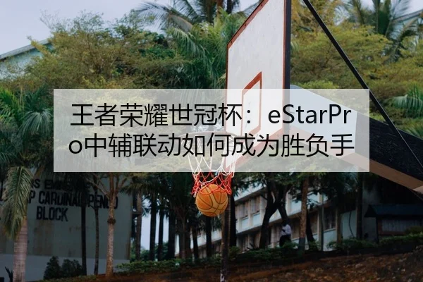 王者荣耀世冠杯：eStarPro中辅联动如何成为胜负手